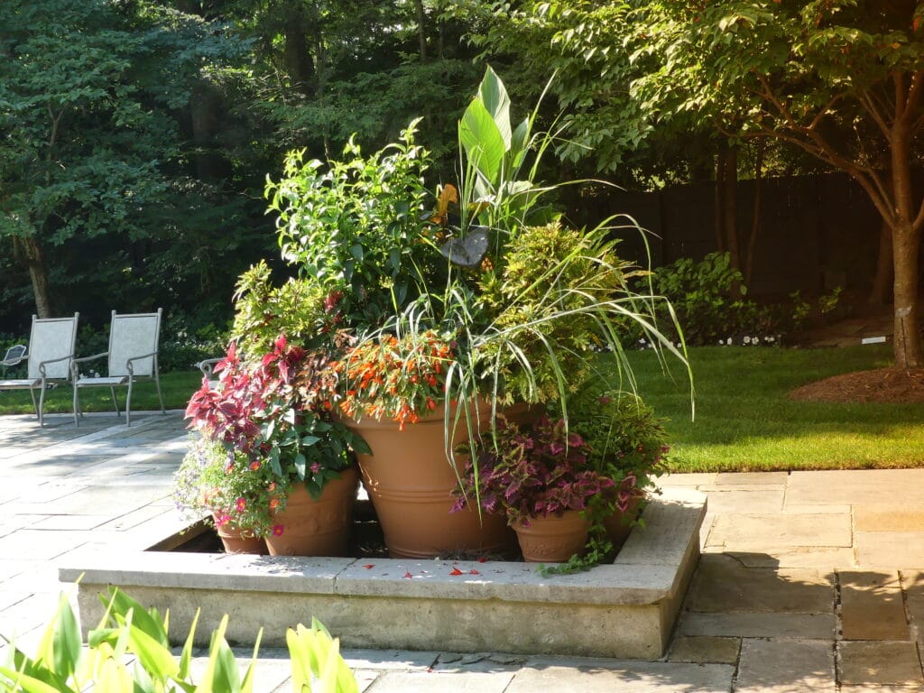 Traditional Planters Pflanzen in Pflanzgefäßen düngen