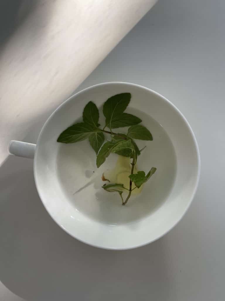 Cup with herbs ready to drink. Frischer Minztee